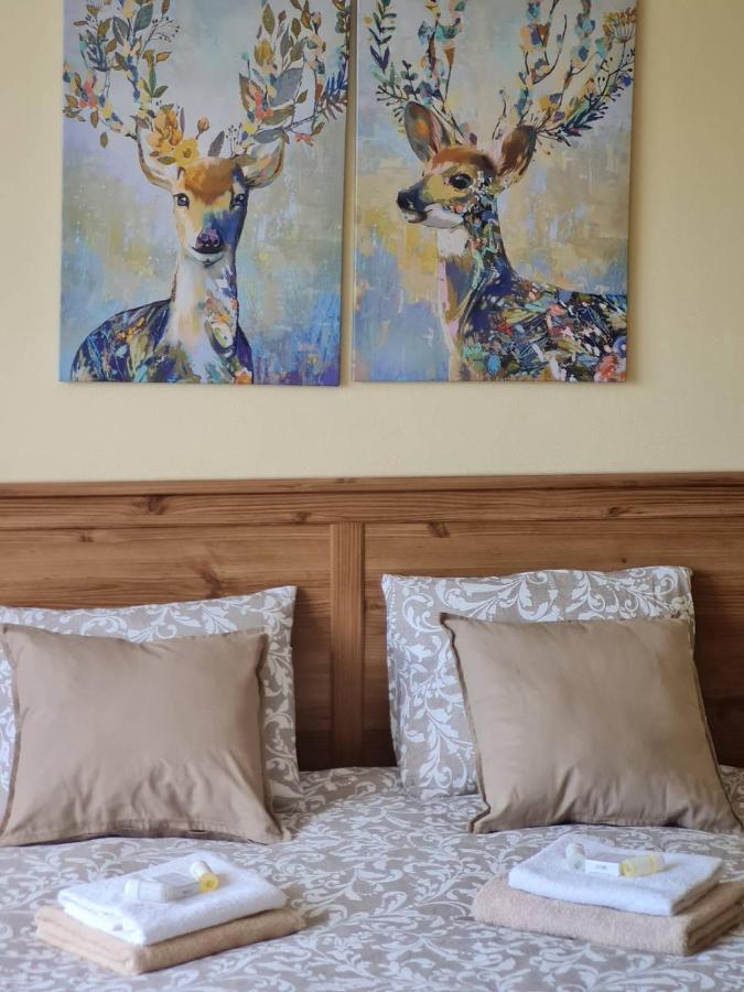 Villa Paradajs - Ubytovanie Pri Jazere Banská Štiavnica Dış mekan fotoğraf
